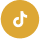 Tiktok Logo